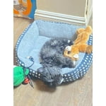 Image 5 of customer photos