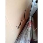 Image 9 of customer photos