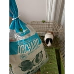 Image 7 of customer photos