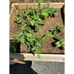 Image 5 of customer photos