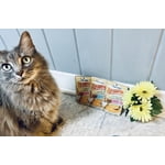 Image 5 of customer photos