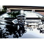 Image 5 of customer photos