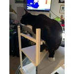 Image 3 of customer photos