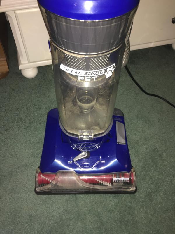 hoover total home pet belt walmart