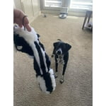 Image 4 of customer photos