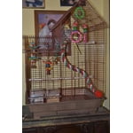 Image 1 of customer photos