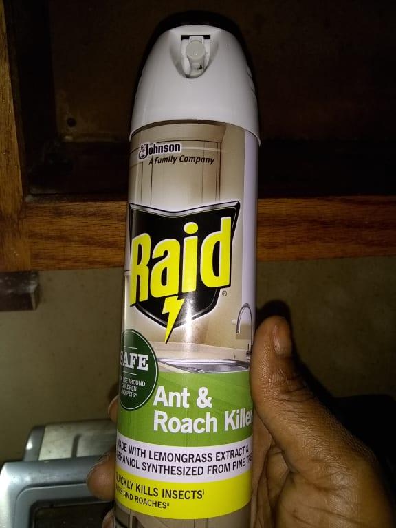 Raid 10 Essentials Ant, Spider, Roach Aerosol SCJ321026 The, 57 OFF