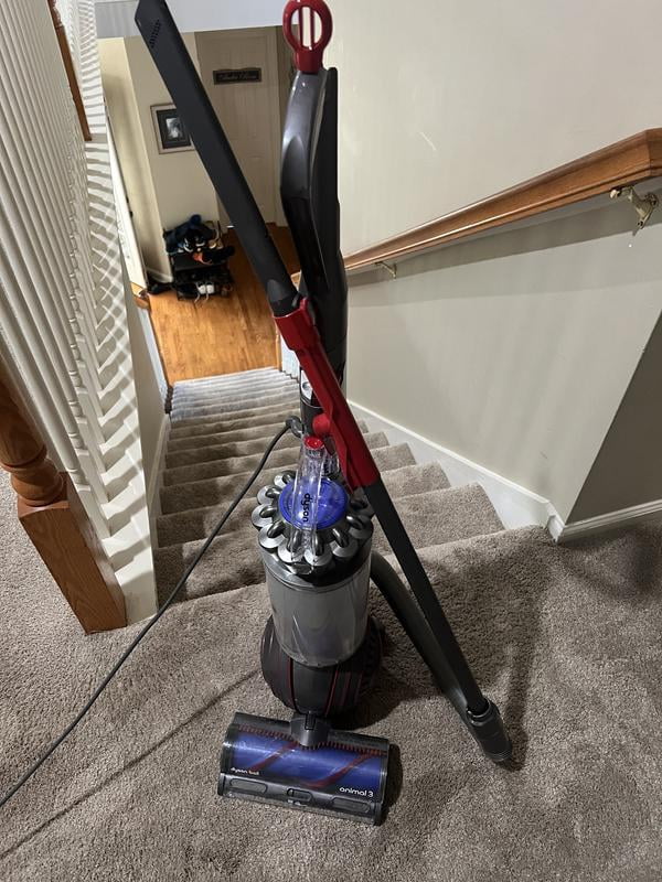 Dyson Ball Animal Upright Vacuum Cleaner - Samsclub.com