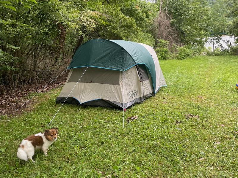 Coleman 6 Person Cabin Tent with Screened Porch, 2 Rooms