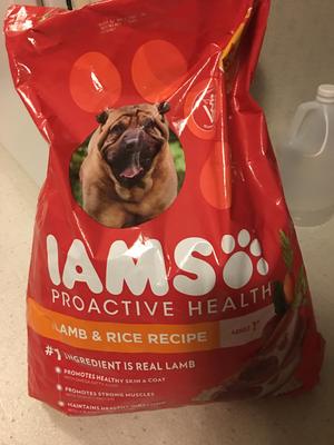 iams lamb and rice walmart