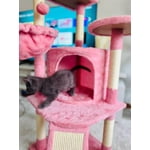 Image 6 of customer photos