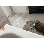 Image 5 of customer photos