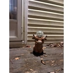 Image 7 of customer photos