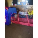 Image 2 of customer photos