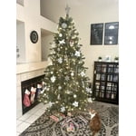 Image 6 of customer photos