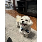 Image 4 of customer photos