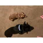 Image 2 of customer photos