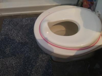 potty seat for oval toilet