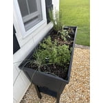 Image 2 of customer photos