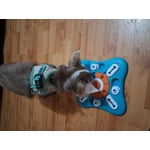 Image 4 of customer photos