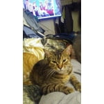 Image 6 of customer photos