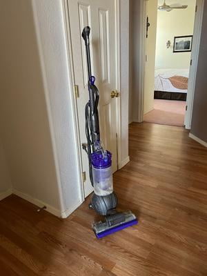Dyson Ball Animal Origin Upright Vacuum Cleaner for Pet Allergen