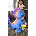 Image 5 of customer photos