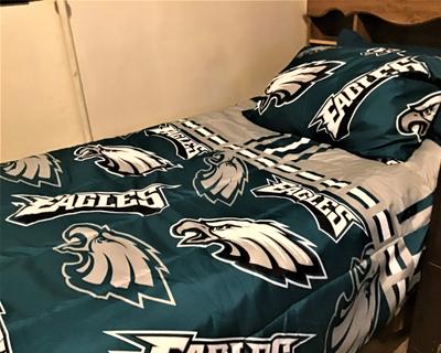 Philadelphia Eagles Bed In Bag Set, Eagles Bedding Queen
