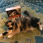 Image 5 of customer photos