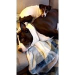 Image 5 of customer photos