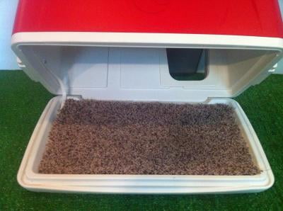 igloo cooler island breeze 48