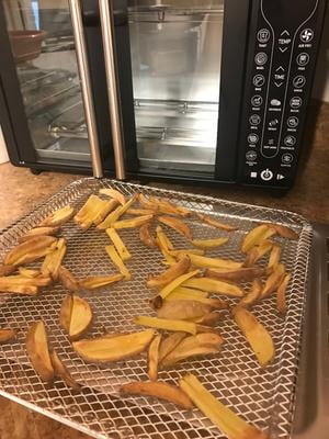 Gourmia Digital French Door Air Fryer Oven Review 