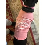 Image 2 of customer photos