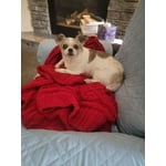 Image 5 of customer photos