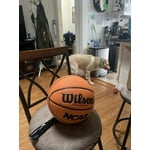 Image 7 of customer photos