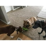 Image 6 of customer photos