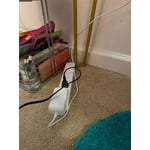 Image 7 of customer photos