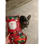 Image 4 of customer photos