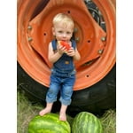 Image 2 of customer photos