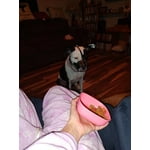 Image 1 of customer photos