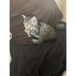 Image 5 of customer photos