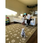 Image 2 of customer photos