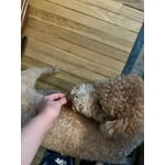 Image 3 of customer photos