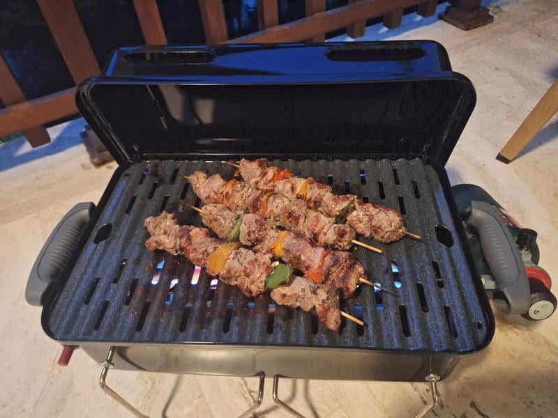 WeberグリルAnyWhere Weber 1-Burner Go-Anywhere Compact Gas Grill with Porcelain