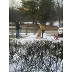 Image 5 of customer photos