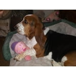 Image 7 of customer photos