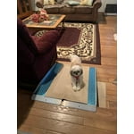 Image 3 of customer photos