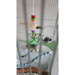 Image 1 of customer photos