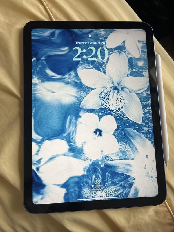 Ipad A16, Wi-Fi 256Gb - Walmart.ca