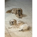 Image 1 of customer photos